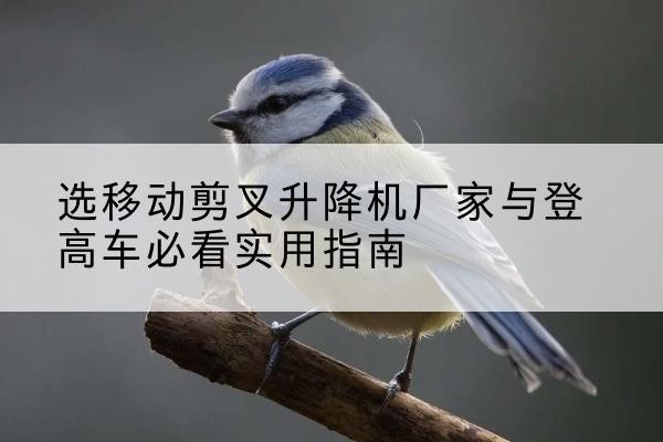 冷水江电动升降机厂家-选移动剪叉升降机厂家与登高车必看实用指南