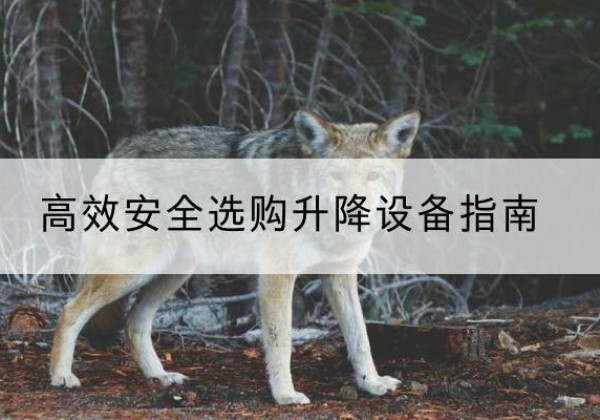 冷水江升降货梯厂家推荐-*安全选购升降设备指南